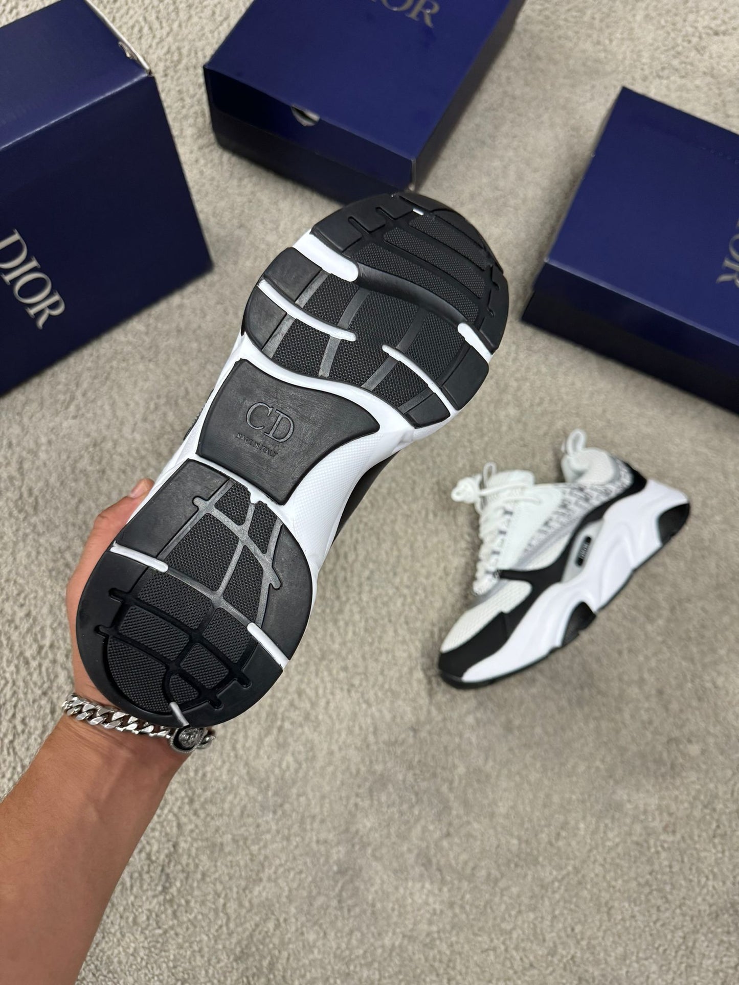 Zapatillas Dior B22