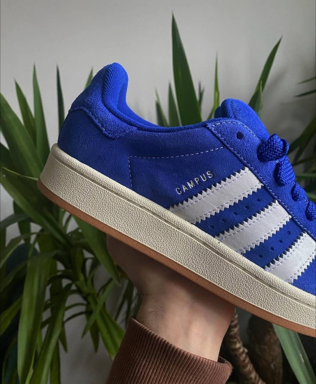 Adidas CAMPUS azul