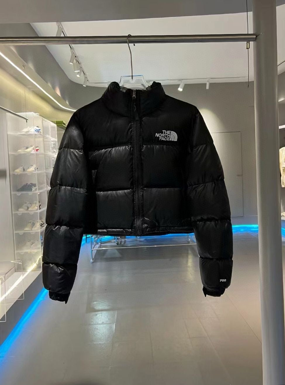 Chaqueta mujer the north face