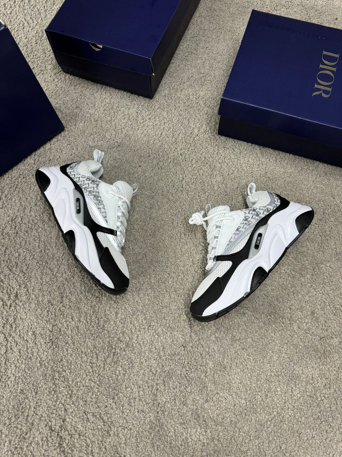 Zapatillas Dior B22