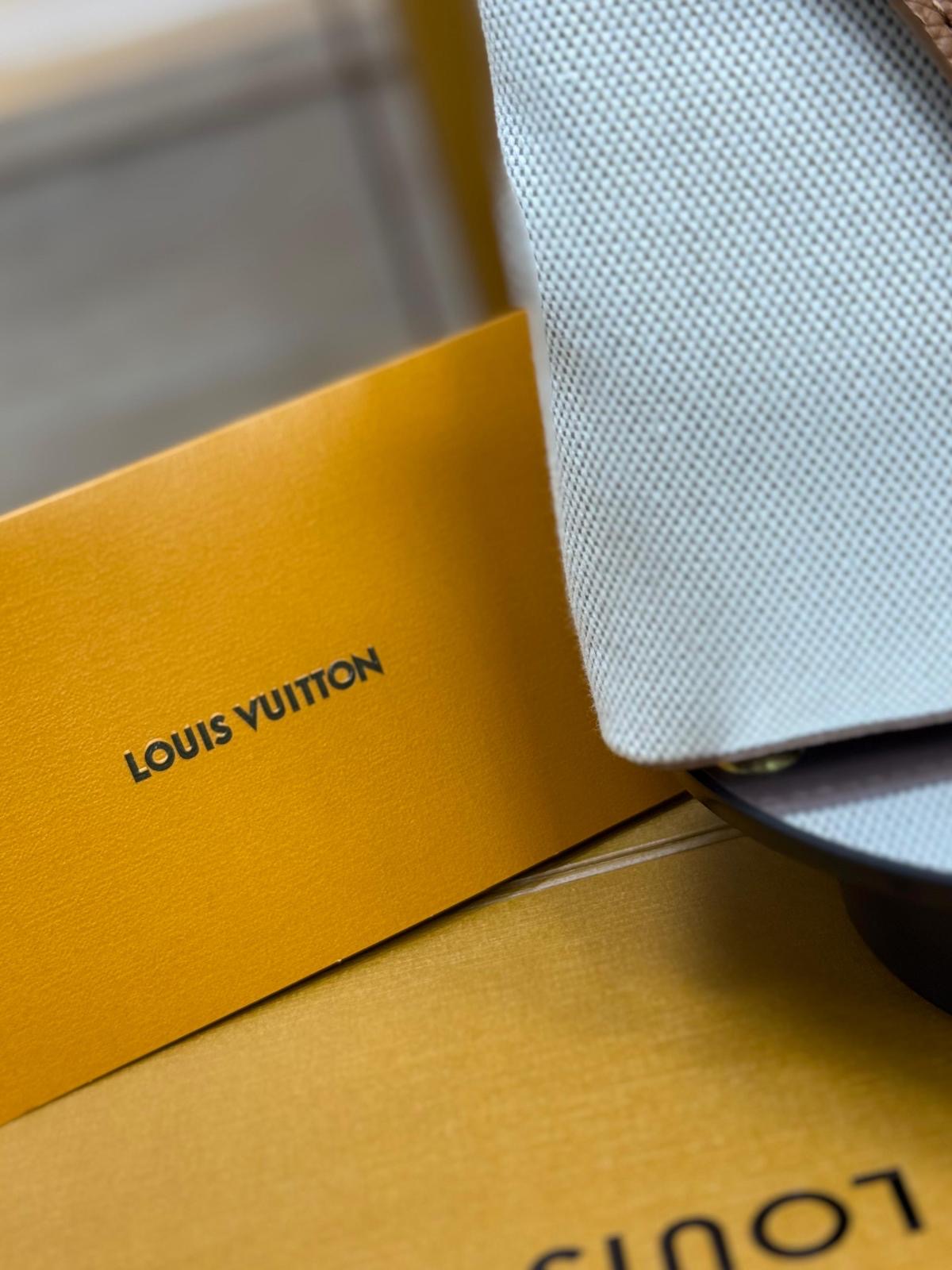 Bolso Louis Vuitton
