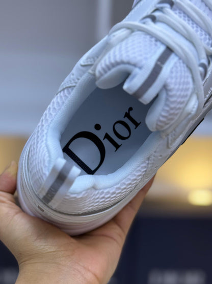 Zapatillas Dior B22 reflectantes